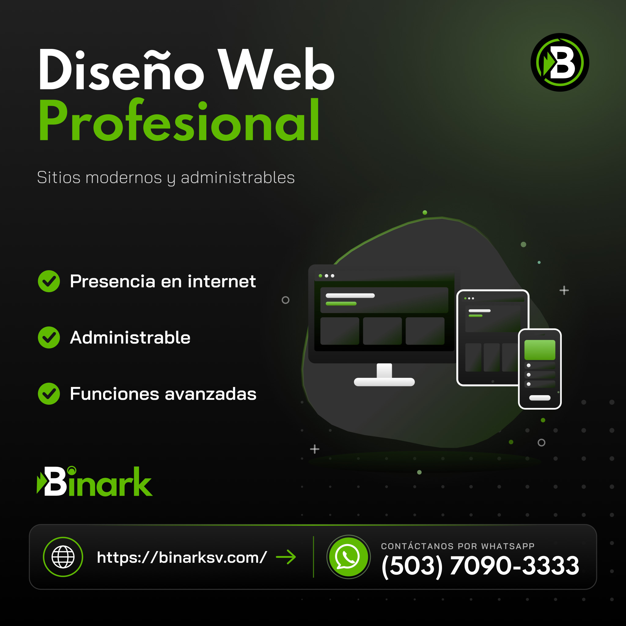 Diseño Web Profesional